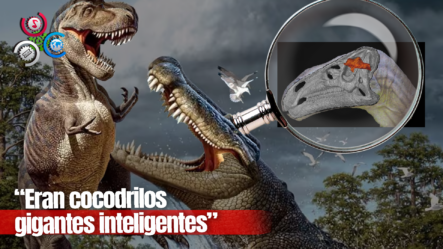 Estudio Reveló Que Los Dinosaurios Eran Cocodrilos Gigantes, Pero Más Inteligentes