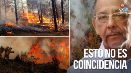 Huchi Lora Revela La Oscura Realidad Detrás De Incendios | Probablemente Intencionados