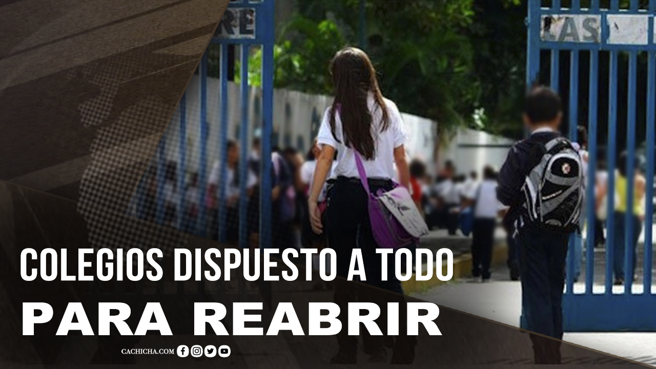 Colegios Dispuesto A Todo Para Reabrir Clases Presenciales