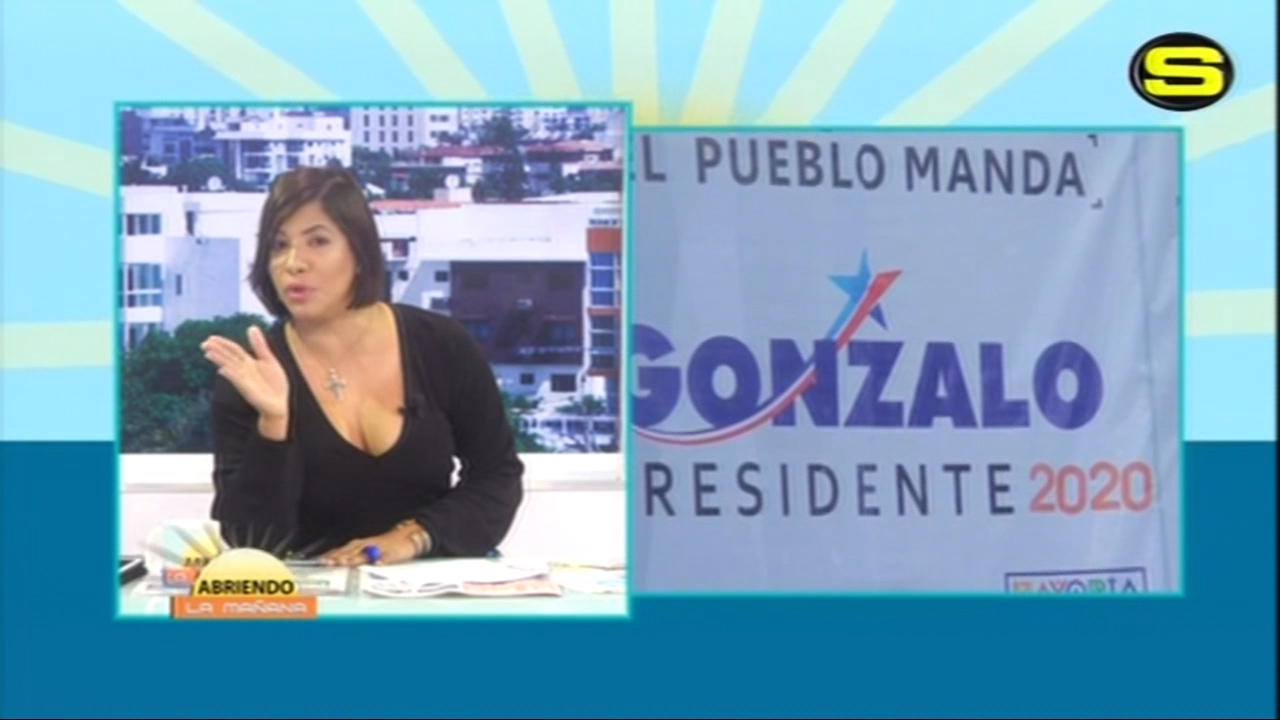 La Opinión De La Condesa Sobre La Lucha Interna En El PLD