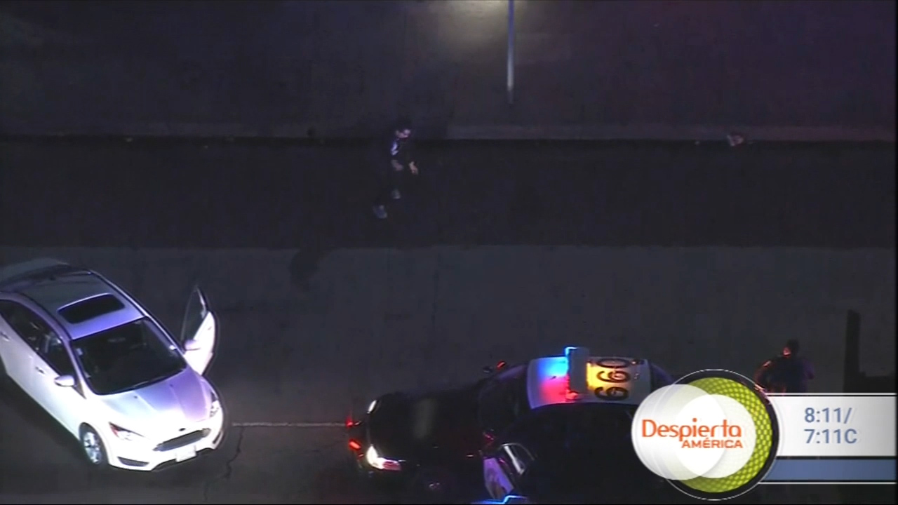 Conductor Perseguido Baila Mientras Es Detenido