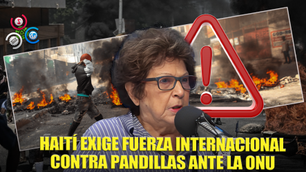 Consuelo Despradel: Haití Pide Fuerza Internacional Contra Pandillas En La Onu