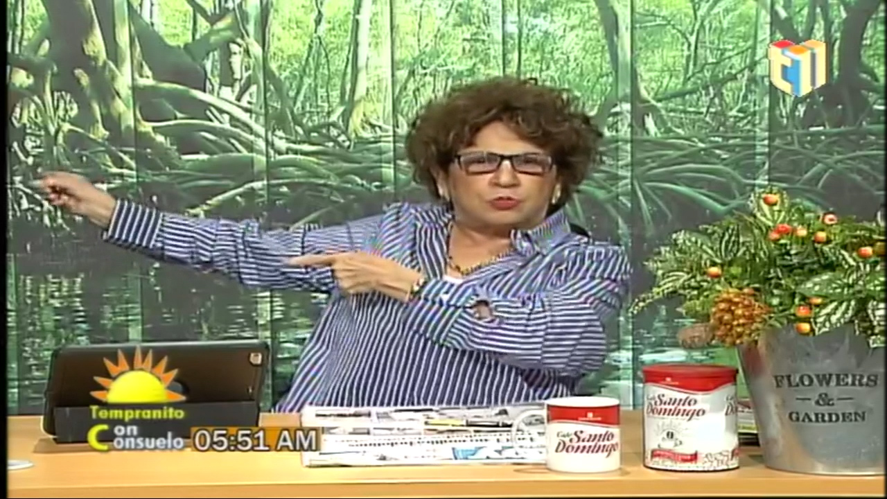 ¡SE REGÓ CONSUELO! Consuelo Despradel Se Riega Por La Privatización De Las Industrias