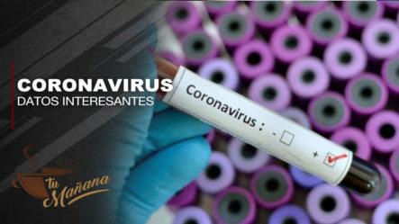 Datos Muy Interesantes Acerca Del El Coronavirus