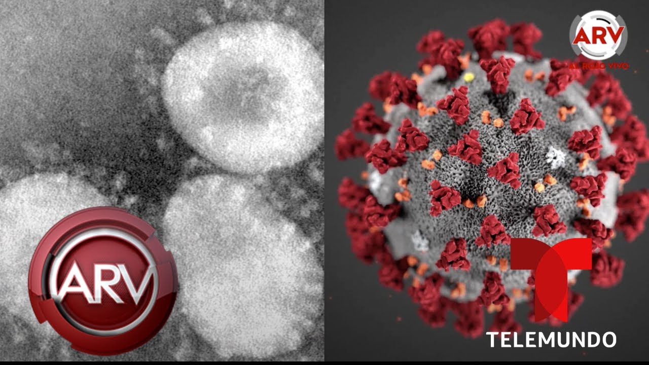 Coronavirus: Esta Es La Primera Foto Del Virus Desde Un Microscopio