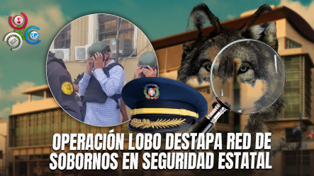 Coroneles, Generales Y Empresarios Entre Los Detenidos Por Caso Operación Lobo
