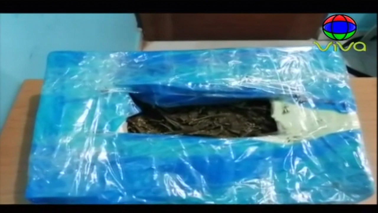 Varias Personas Apresadas En Diferentes Allanamientos En Cotuí