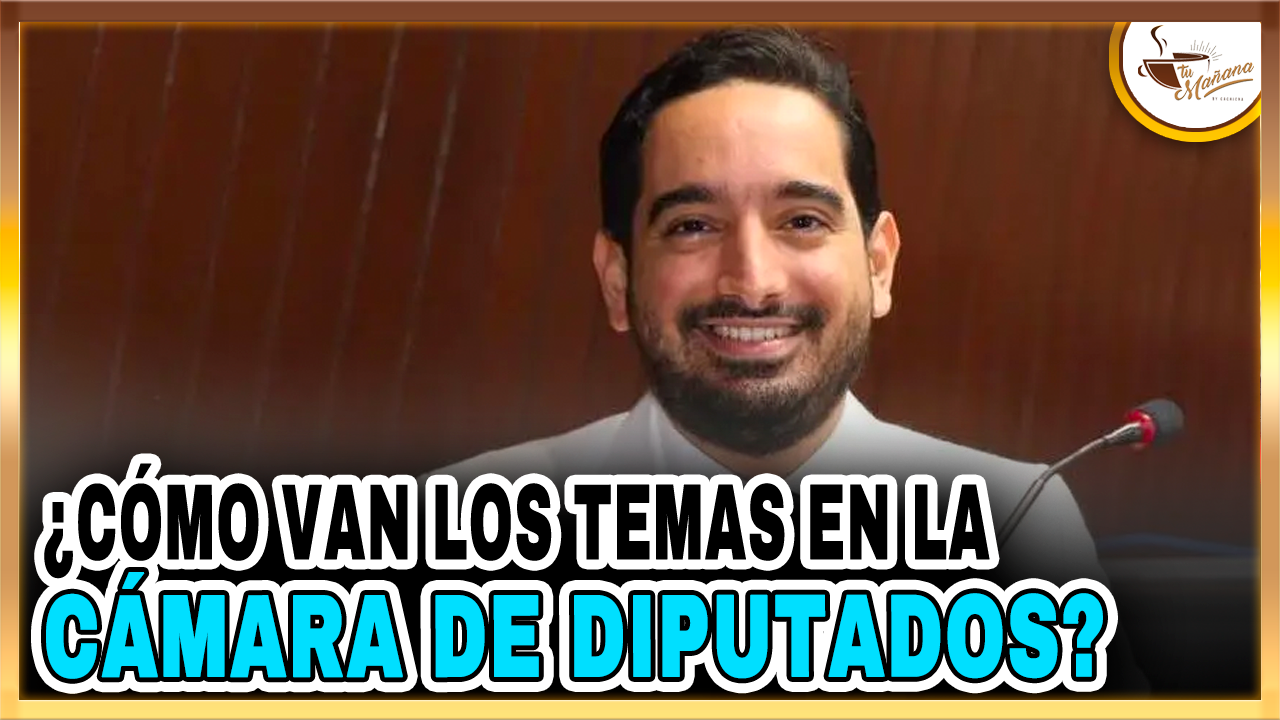 José Horacio –  ¿Cómo Van Los Temas En La Cámara De Diputados? | Tu Mañana By Cachicha