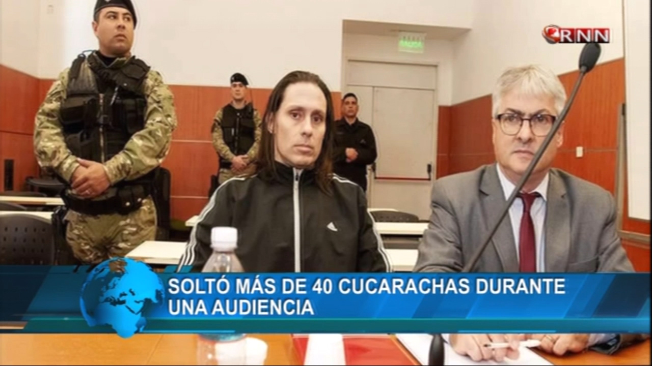 Soltó Más De 40 Cucarachas Durante Una Audiencia