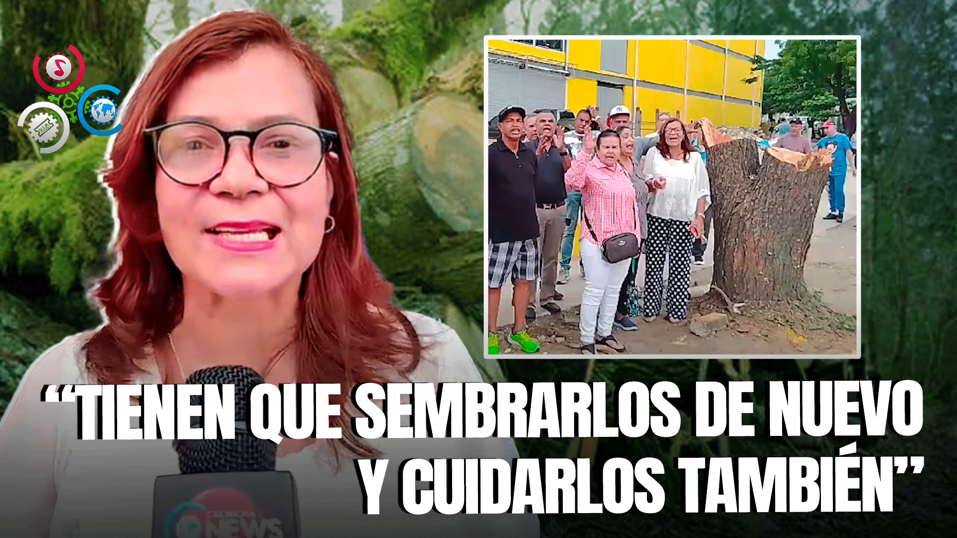 Junta De Vecinos En Cerro Alto Se Manifiestan Por Corte De árboles Para Construcción De Tienda China