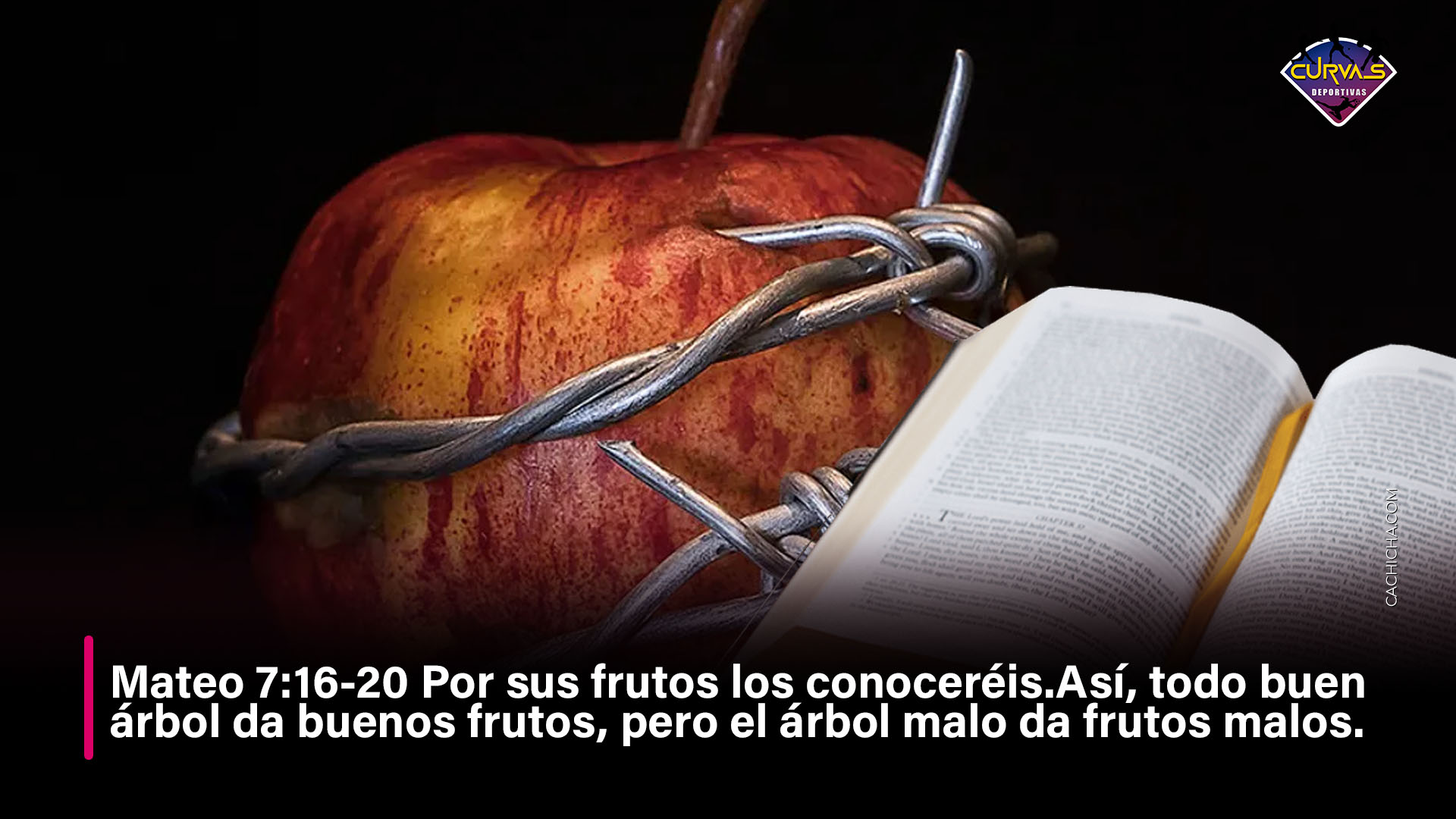 Buen árbol Da Buenos Frutos, árbol Malo Da Frutos Malos