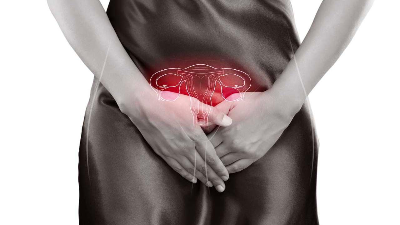 Consultando Con Ana Simó: Tipos De Cáncer Ginecológico; Prevención Y Cuidados