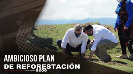 Abinader Anuncia Ambicioso Plan De Reforestación