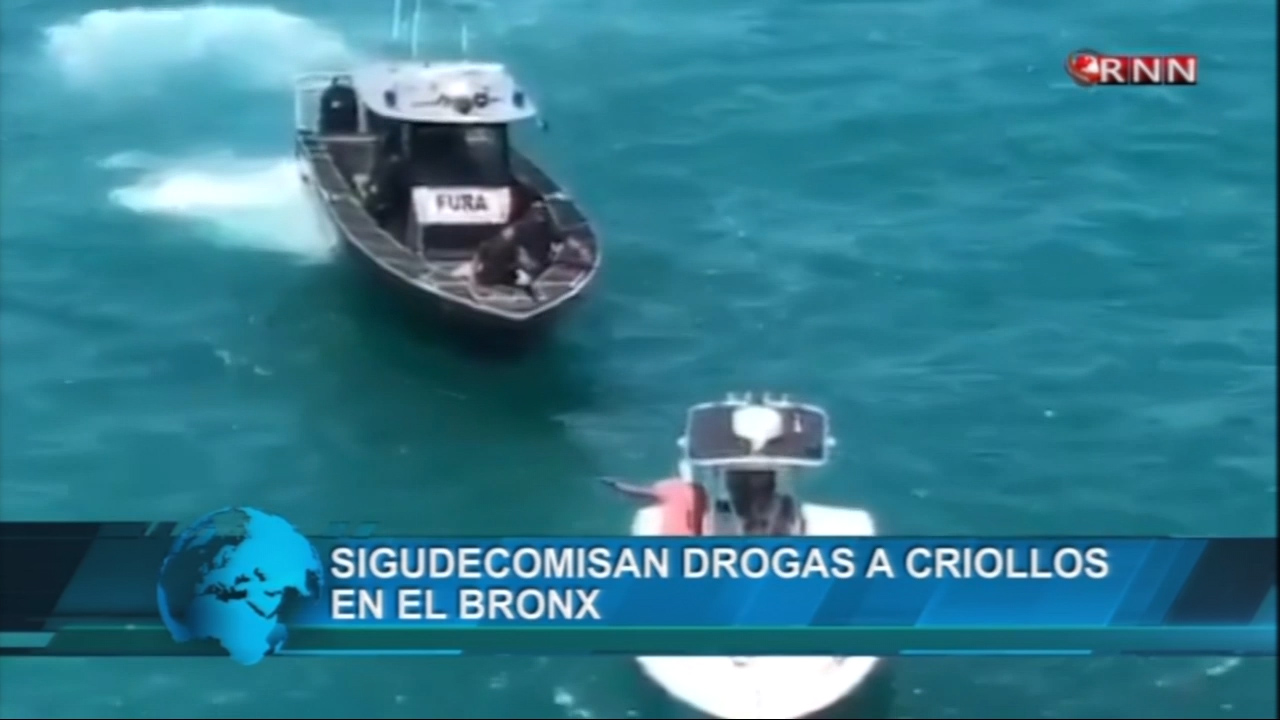 Decomisan Drogas A Criollos En El Bronx