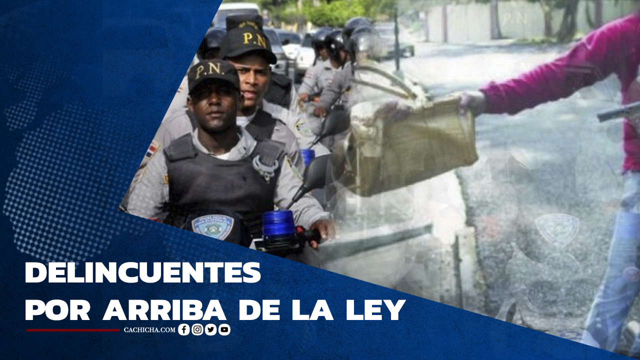 Delincuentes Por Arriba De La Ley | Tu Tarde