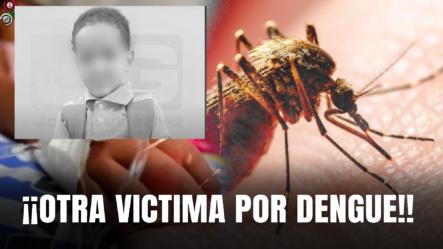 Muere Niño De 8 Años Con Síntomas De Dengue