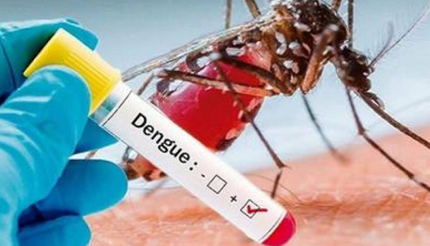 Zona 5: El Dengue Está Devuelta Y Sigue Generando Preocupación