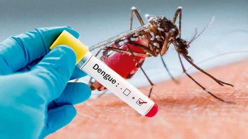 Salud Publica Visita Algunos Barrios Para Dar Seguimiento A Contagios Del Dengue