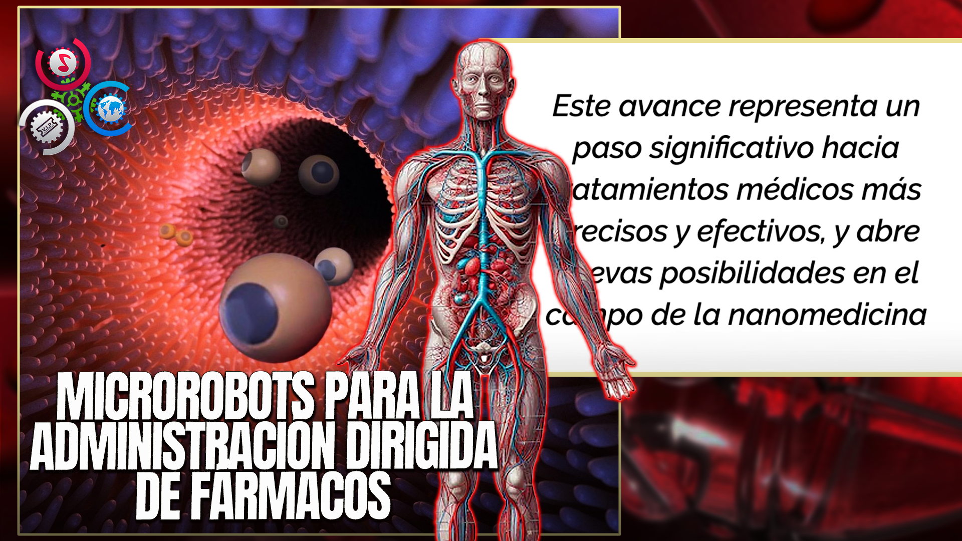 Desarrollan Micro Robots Que Administran Medicamentos Dentro Del Cuerpo Humano