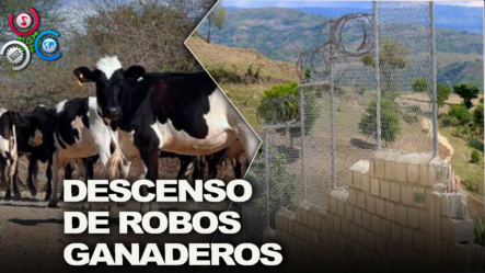 Reportan Descenso De Robos Ganaderos En Zona Fronteriza Tras Construcción De Verja