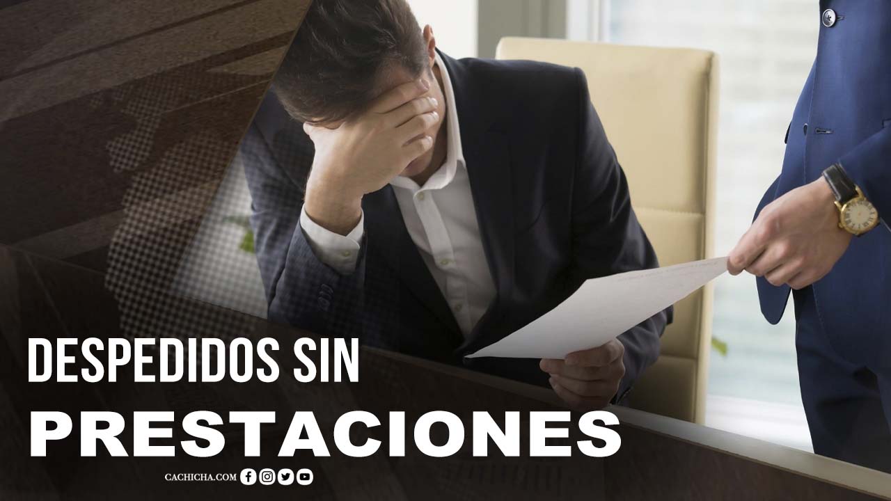 El Reclamo Al Gobierno Tras Despidos Sin Prestaciones