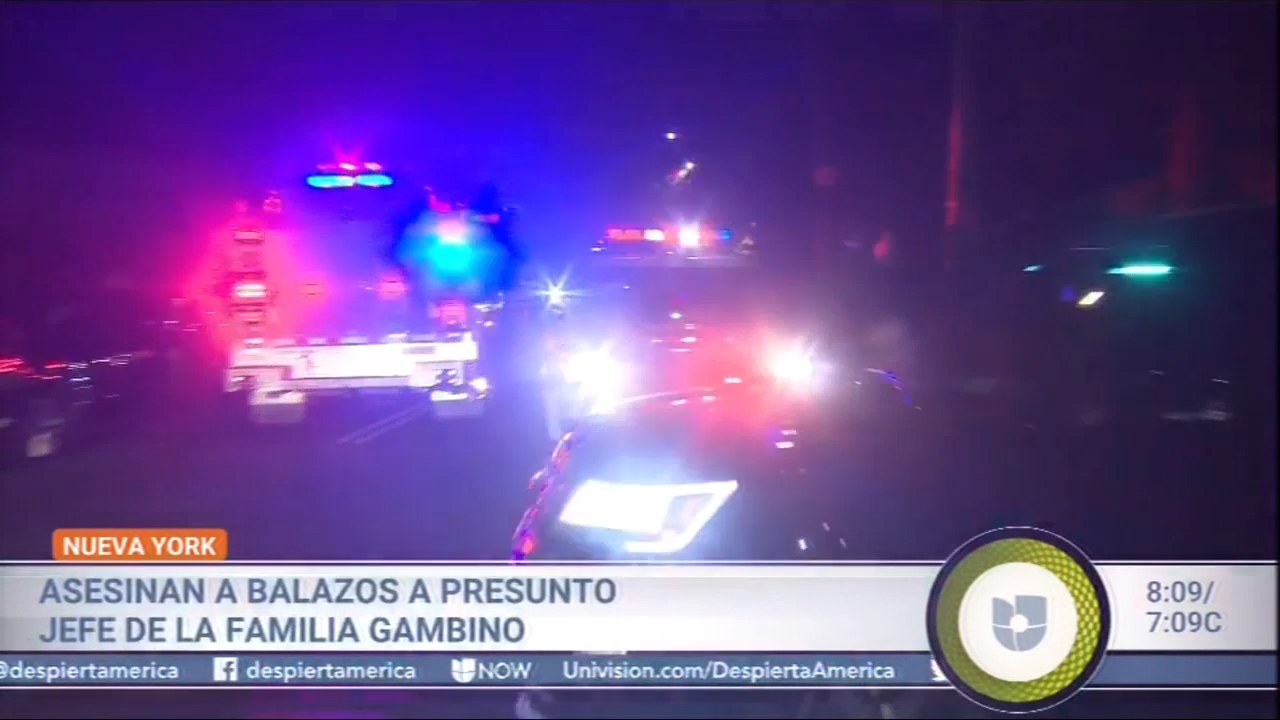 Asesinan A Balazos A Presunto Jefe De La Familia Gambino