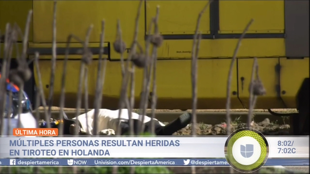 Múltiples Personas Resultaron Heridas En Tiroteo En Holanda