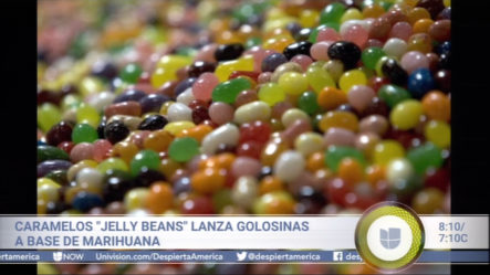 Caramelos “Jelly Beans” Lanza Golosinas A Base De Marihuana