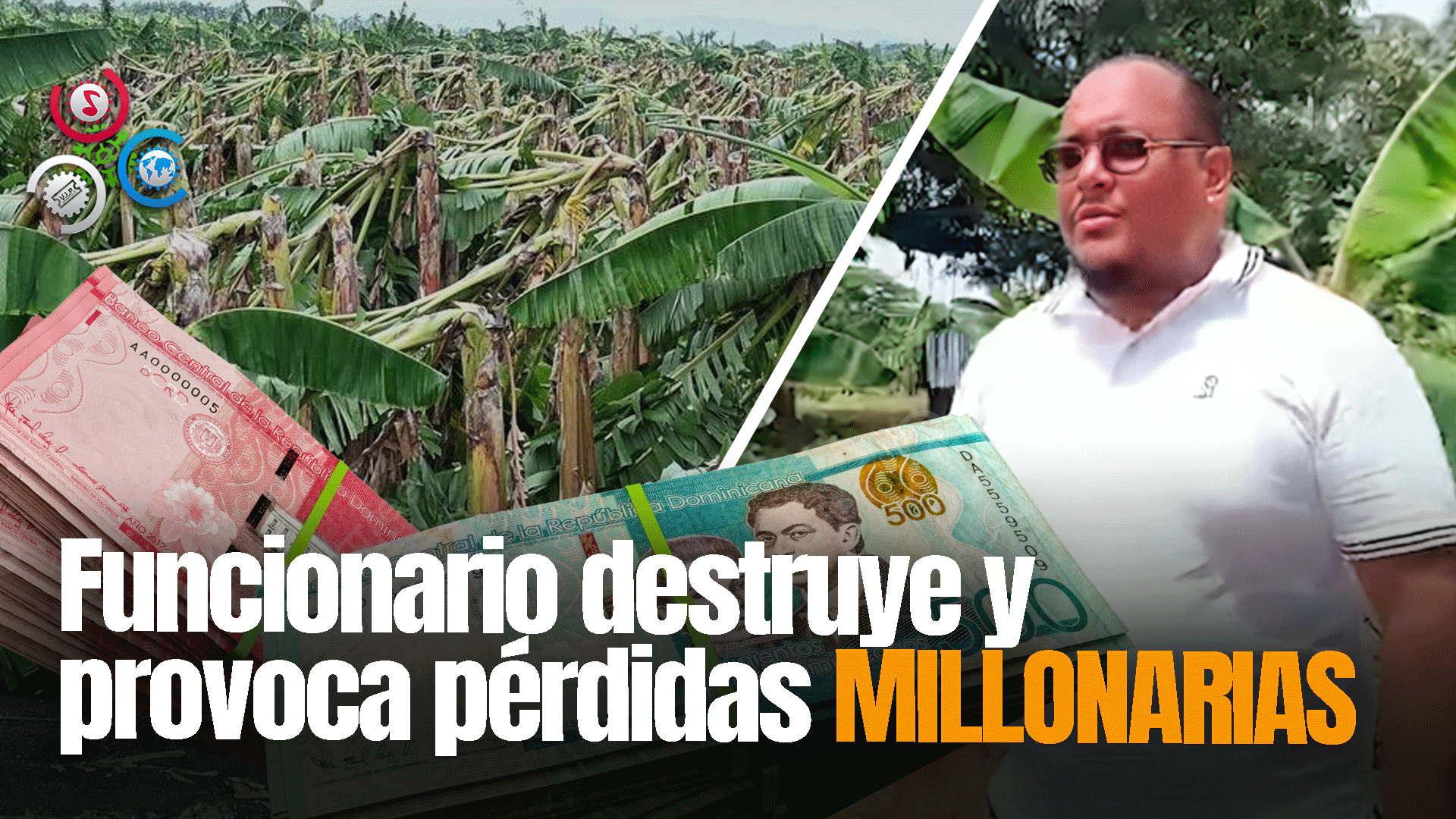 Director De Bienes Nacionales Del CEA Destruye Valiosas Cosechas De Agricultores En La Región Este