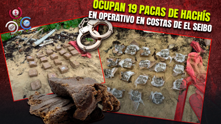 Golpe Al Narcotráfico: Ocupan 19 Pacas De Hachís En Costas De Miches