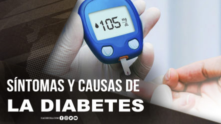 Nutricionista Habla De Los Síntomas Y Causas De La Diabetes