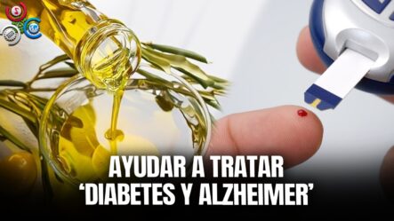 Ácido De Hojas De Olivo Podría Ayudar A Tratar Diabetes Y Alzheimer