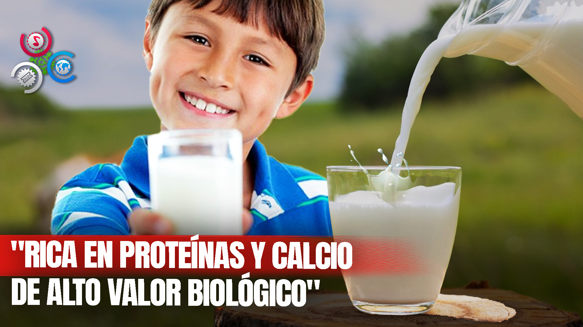 1° De Junio: Día Internacional De La Leche, ¿Cuál Es Tu Favorita?