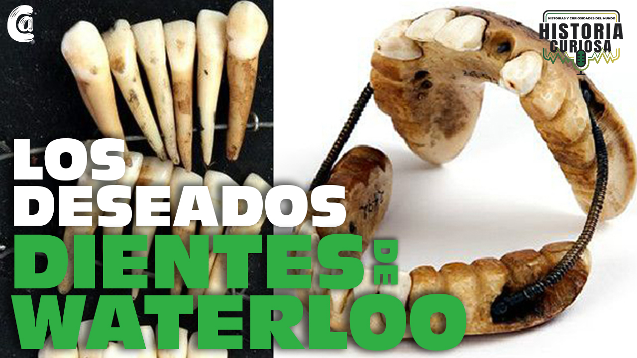 Conoce Más Sobre Los Deseados Dientes De Waterloo