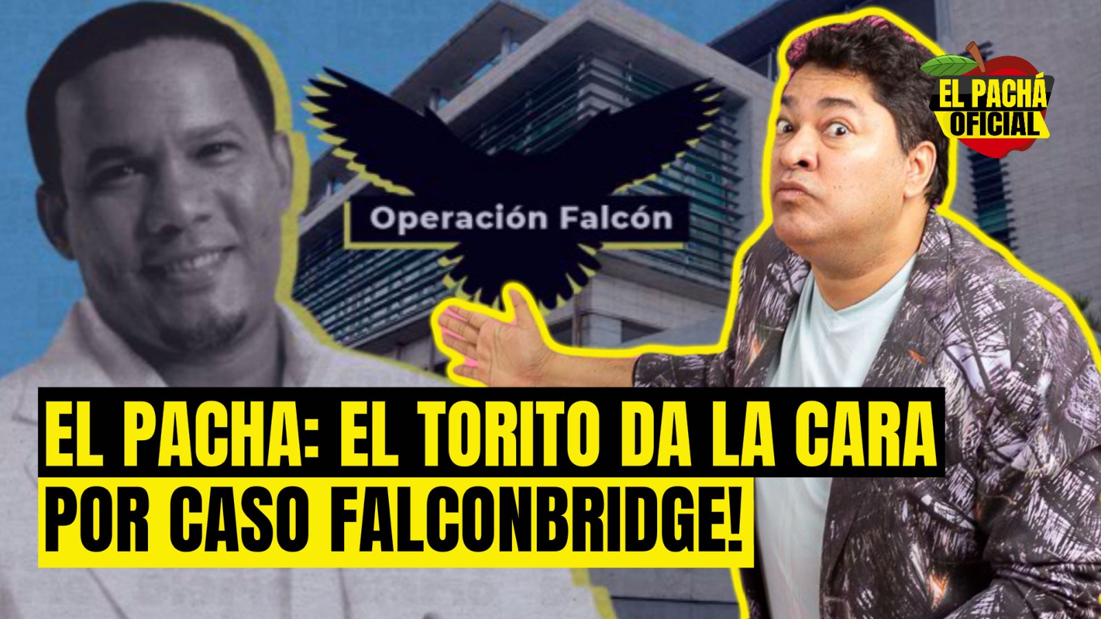 EL PACHA: EL TORITO DA LA CARA POR CASO FALCONBRIDGE!