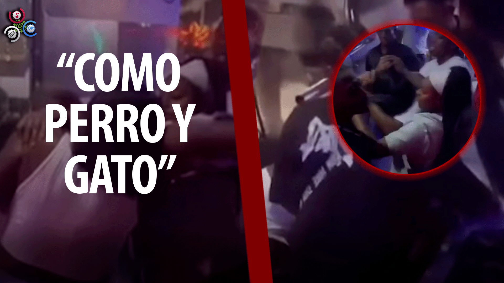 “COMO PERROS Y GATOS” Mujeres Se Enfrentan A Golpes En Una Discoteca