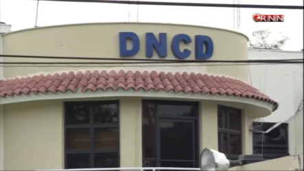 La DNCD Decomisó Cargamento De Cocaína En El Puerto Punta Caucedo