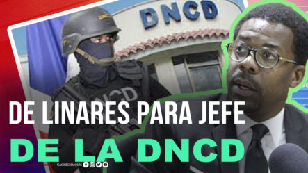 Rafael Linares Le Saca Los Trapitos Al Sol Al Jefe De La DNCD | Tu Mañana By Cachicha