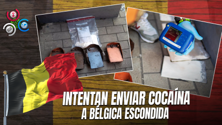 DNCD Detecta Droga Camuflada En Doble Fondo De Macetas Rumbo A Bélgica