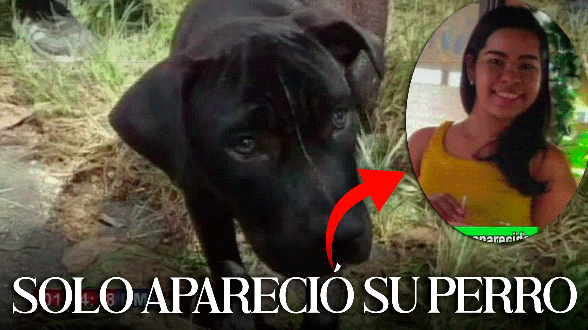 Desaparece Joven En Inundación Y Solo Aparece Su Perro