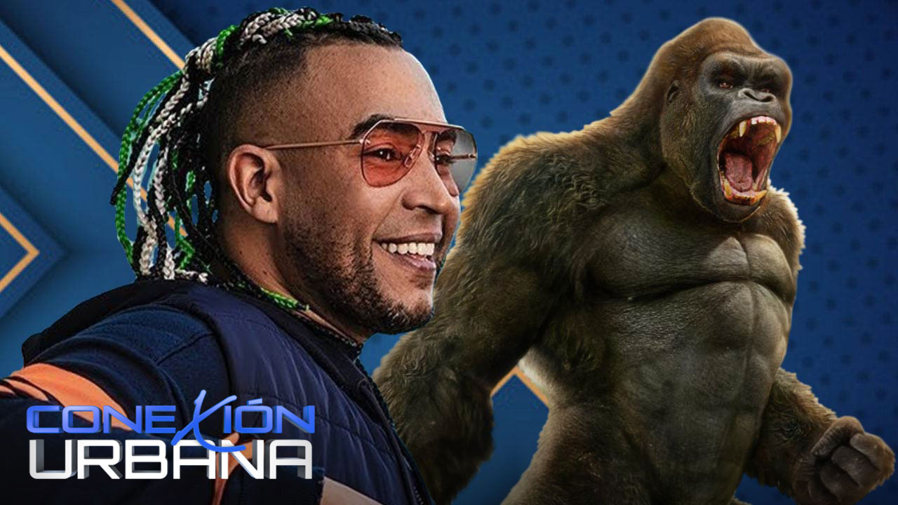 Esto Es Lo Que Tiene Que Hacer Don Omar Para Volver A Conectar Con El Público