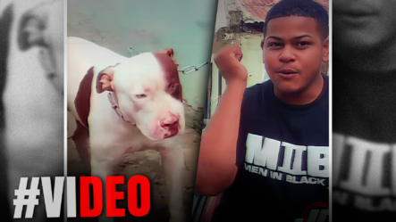 “UN HÉROE SIN CAPA” Relato Del Joven Que RESCATÓ A Mujer Mordida Por Perros