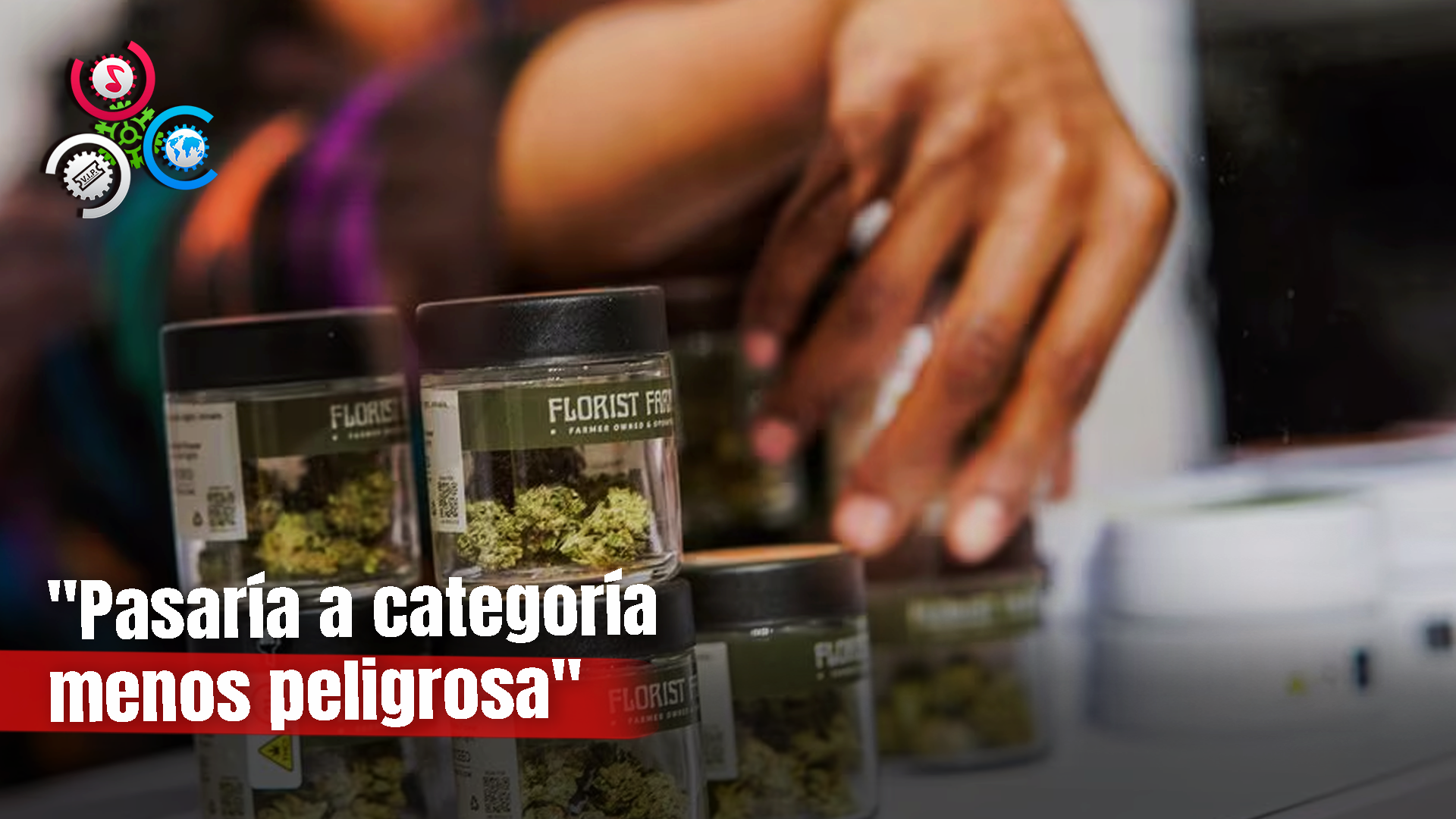 EE.UU. Reclasificará La Marihuana Como Droga Menos Peligrosa Con Uso Medicinal