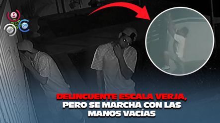 Ladrón En SFM Entra Confiado… Y Sale Decepcionado: “ni Una Cuchara Pude Llevarme Ante Vivienda Protegida”