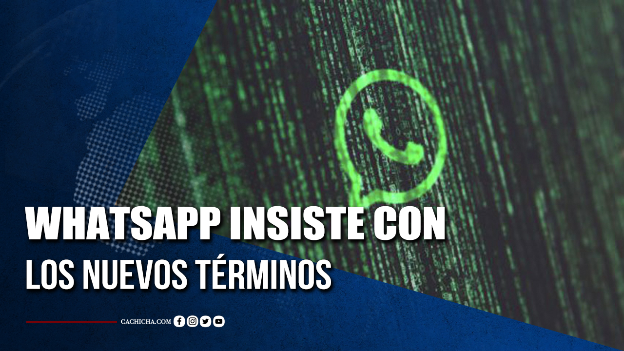 WhatsApp Insiste Con Los Nuevos Términos | Tu Tarde