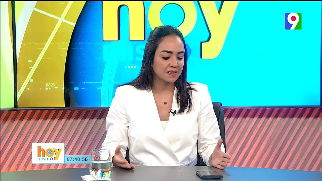 Faride Raful “El Tema De La Frontera Siempre Ha Sido Un Negocio Para Algunos”