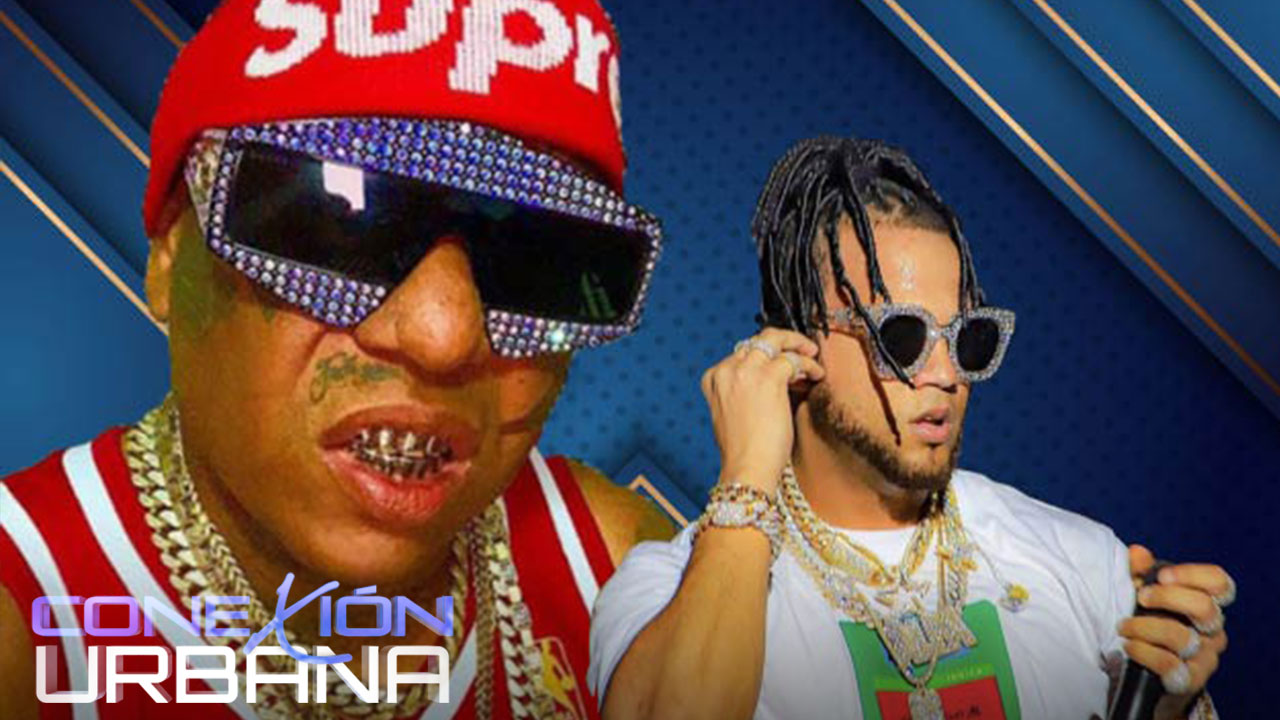 Japanesepty Se La Deja Caer Fea Al Alfa Y Le Dice Falta De Respeto | Conexión Urbana