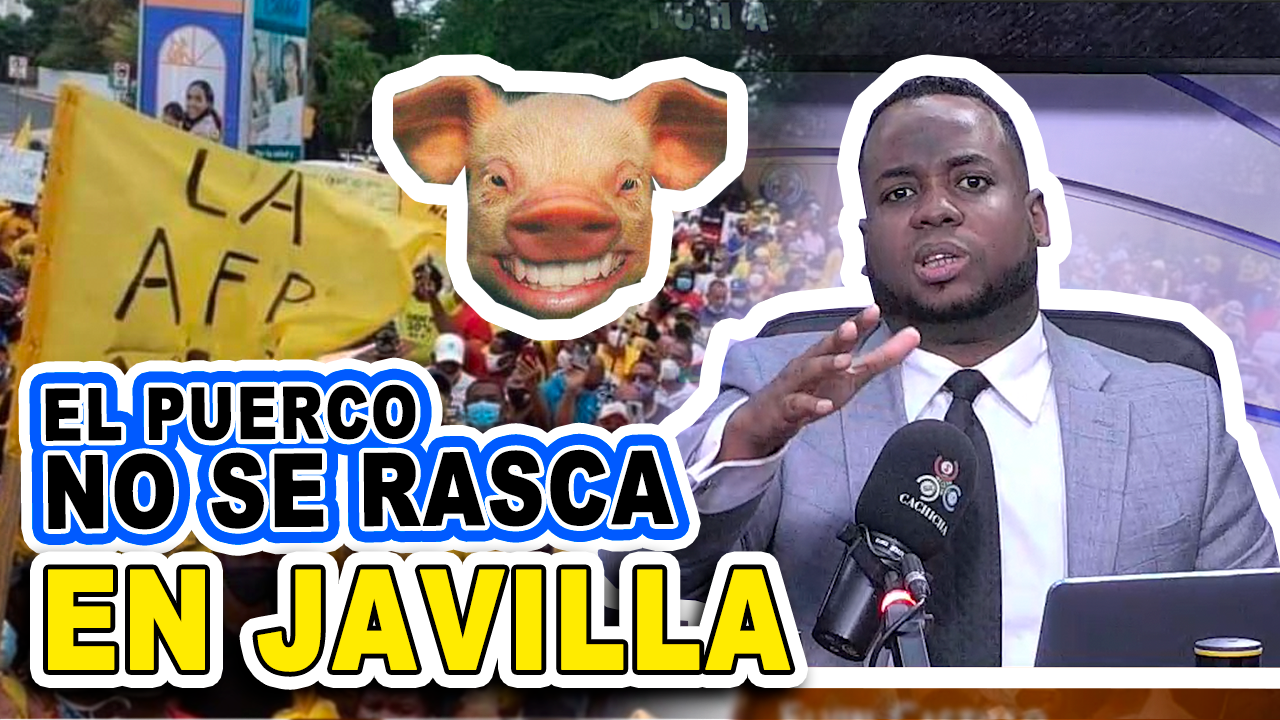 Elvis Castillo Explota Ante Tema De AFP; “El Puerco No Se Rasca En Javilla”