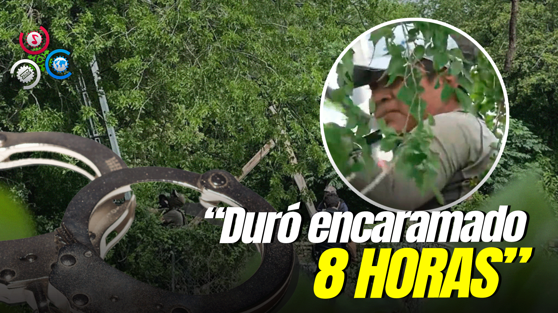 Arrestan Hombre Que Se Subió A Un árbol Para Evitar Ser Deportado En Texas