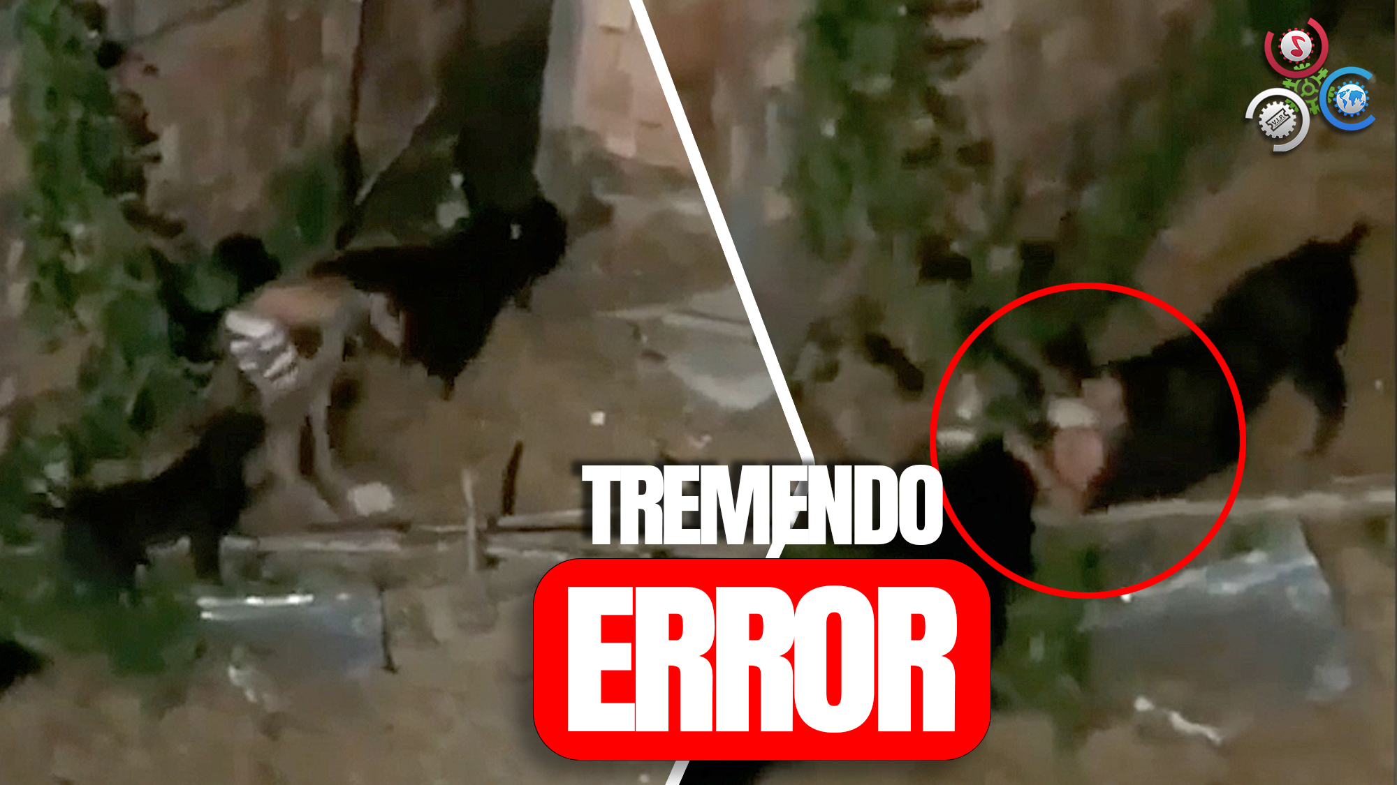 Ladrón Intenta Entrar A Casa, Pero Los Perros Tenían Otros Planes | Tremendo Error